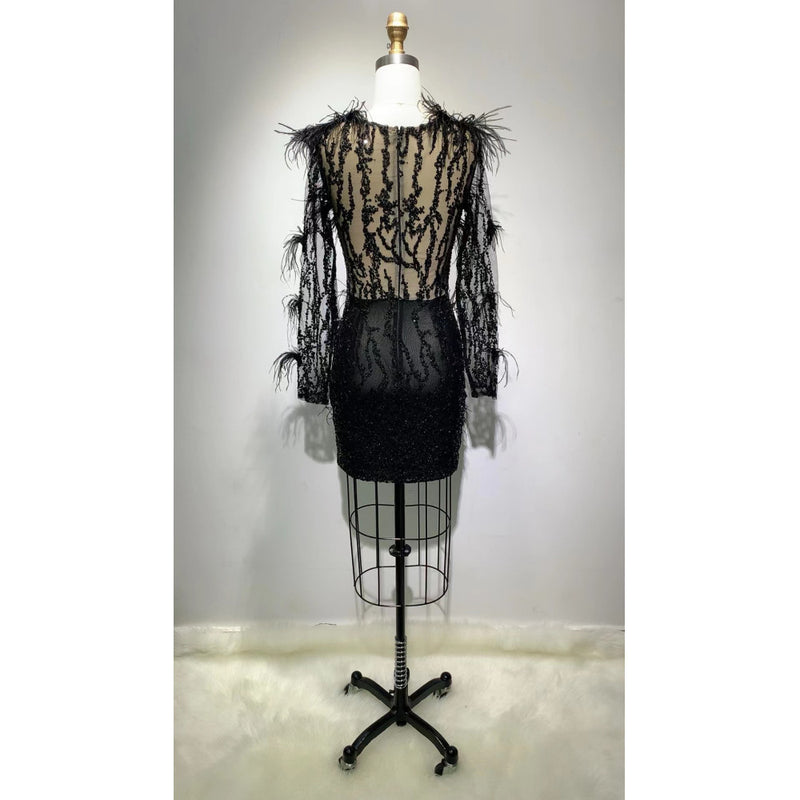 Mesh Long-sleeved Sequin Feather Casual Dress