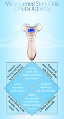 EMS double ball roller massage instrument