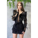Mesh Long-sleeved Sequin Feather Casual Dress