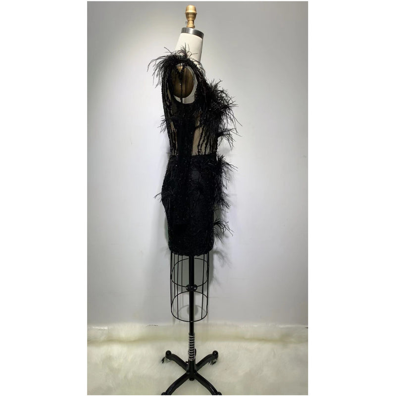 Mesh Long-sleeved Sequin Feather Casual Dress