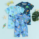 Short Sleeve One-piece Boy Swimsuit
