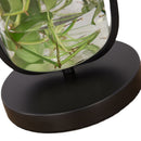 Moderne, kreative Hydrokultur-Tischlampe aus Glas