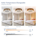 Dimmbare LED-Deckenleuchte im Bohemian-Stil mit eingebautem Ventilator – Fernbedienung