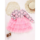 Toddler Girls Outfits Long Sleeve Graphic Heart Print Mesh Tulle Dress Valentine Birthday Party Dresses